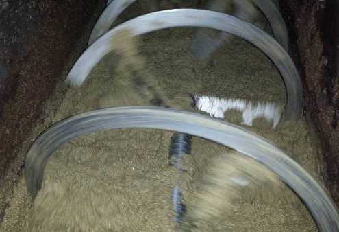 come si produce l'olio extra vergine di oliva