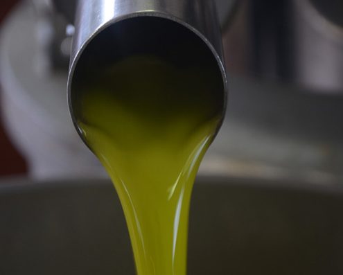 olio stra vergine biologico estratto a freddo