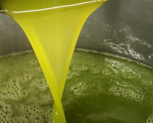 olio pugliese confezionato in frantoio