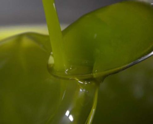difetti e alterazioni dell'olio di oliva