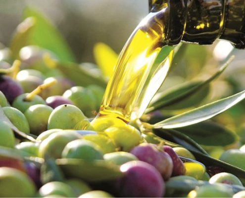 da cosa dipende la qualità dell'olio extravergine di oliva