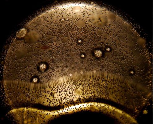 trigliceridi olio oliva cosa sono