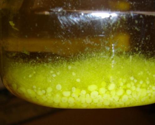 cosa sono i pallini bianchi nell'olio?