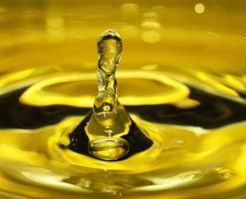quanti polifenoli deve contenere l'olio extravergine di oliva