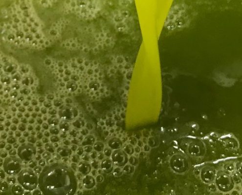 Da cosa dipende il colore verde dell'olio di oliva