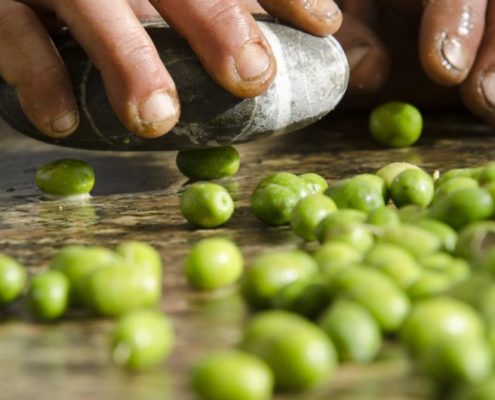 come produrre olio di oliva fatta in casa