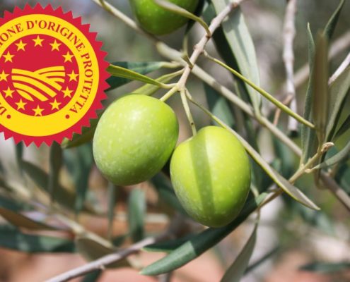 cosa si intende per olio di oliva dop