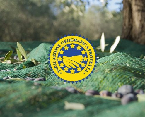 cosa è l'olio evo IGP?