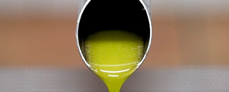 differenza tra olio monocultivar e blend