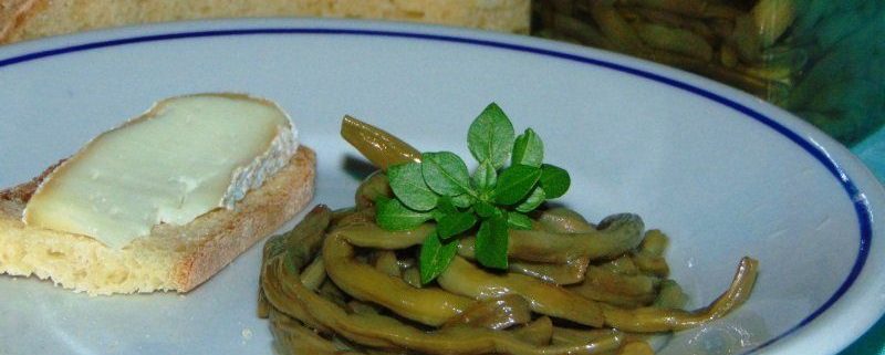 come preparare i fagiolini sott'olio fagiolini sott'olio