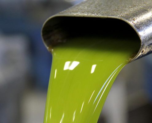 prenotazione e vendita olio evo pugliese confezionato in frantoio