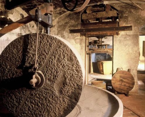 Frantoi oleari pugliesi: varietà e tipologie di Olio Extravergine