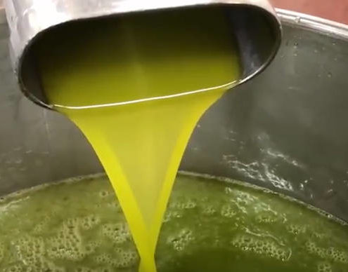 E-commerce Olio EVO: la facilità di acquistare online un prodotto introvabile