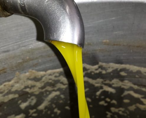come si estrae l'olio di oliva