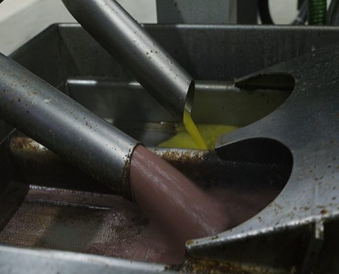 Lavorazione a 2 fasi o 3 fasi: cosa cambia per l'olio di oliva?