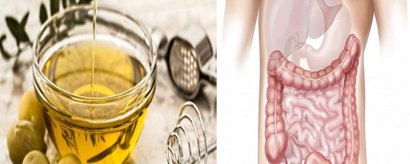 L'Olio di Oliva contrasta i tumori intestinali: la nuova scoperta!