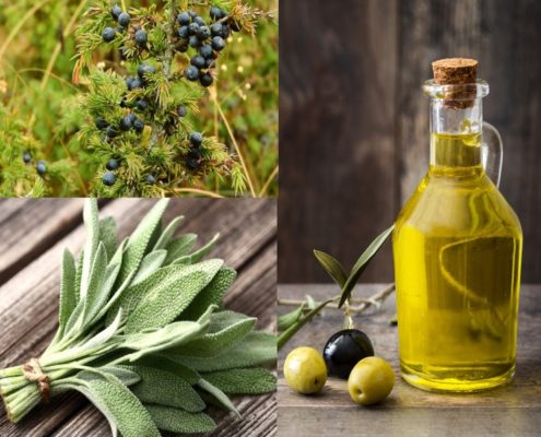 Olio Aromatizzato alla Salvia e Mirto fatto in casa