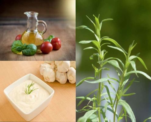 Olio Evo e Dragoncello: come impiegarlo in cucina?