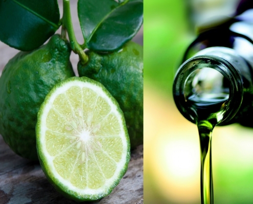 Olio di oliva e Bergamotto: utili per la Terapia del Dolore