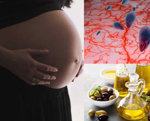 L’Olio di oliva e Toxoplasmosi: per una gravidanza più sicura!