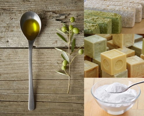 Olio di oliva: come proteggere le nostre piante!