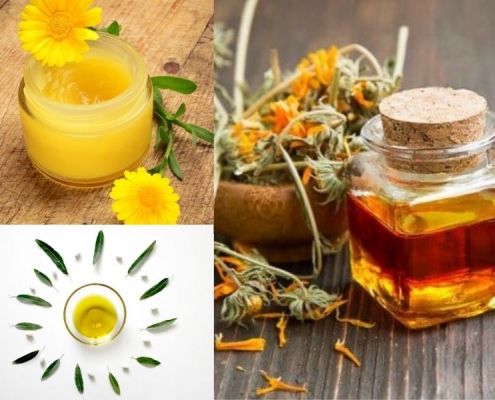 Oleolito alla Calendula: un elisir lenitivo e cicatrizzante