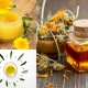 Oleolito alla Calendula: un elisir lenitivo e cicatrizzante