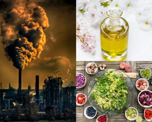 La Dieta Mediterranea ci protegge dall’Inquinamento