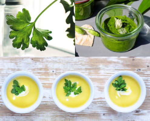 Olio Aromatizzato al Prezzemolo fatto in casa