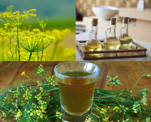 Olio di oliva aromatizzato al finocchietto selvatico