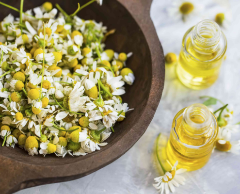 Oleolito di Camomilla per combattere pelli irritate e arrossate