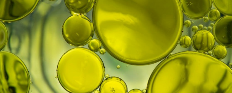 L’acido oleico dell’Olio Evo per la prevenzione della Sclerosi Multipla