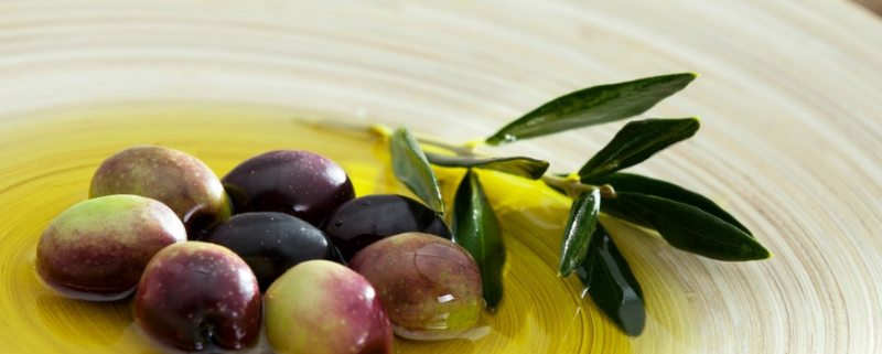 Naso elettronico per valutare la qualità dell’Olio Extravergine di Oliva