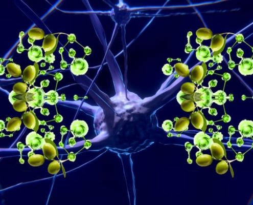 olio extravergine integratore alimentare per prevenzione malattie cerebrali