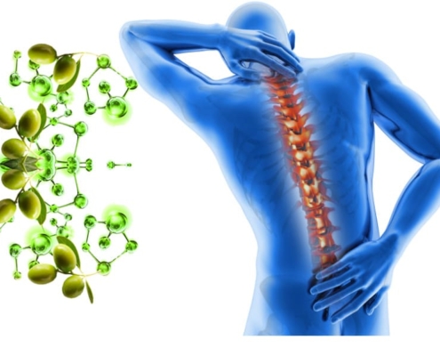 Olio extravergine: integratore alimentare per prevenire l’osteoporosi