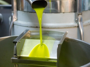 Olio oliva contraffatto