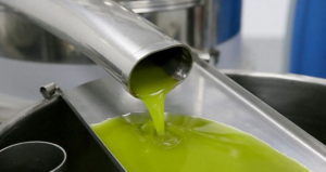 Flusso di olio extravergine di oliva verde brillante che esce da un tubo in acciaio inox durante la fase finale del processo di estrazione in un impianto oleario.