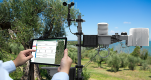 Tecnologie digitali per l’olivicoltura sostenibile: un agricoltore utilizza un tablet per monitorare i dati ambientali raccolti da una centralina meteo in un uliveto, con il mare sullo sfondo.