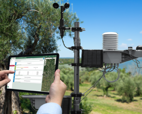 Tecnologie digitali per l’olivicoltura sostenibile: un agricoltore utilizza un tablet per monitorare i dati ambientali raccolti da una centralina meteo in un uliveto, con il mare sullo sfondo.