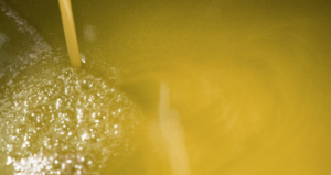 Primo piano di olio d’oliva appena estratto con presenza di morchia e bollicine superficiali, durante la fase di decantazione o filtrazione.