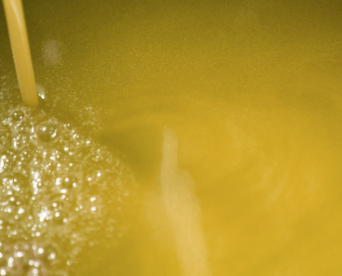 Primo piano di olio d’oliva appena estratto con presenza di morchia e bollicine superficiali, durante la fase di decantazione o filtrazione.